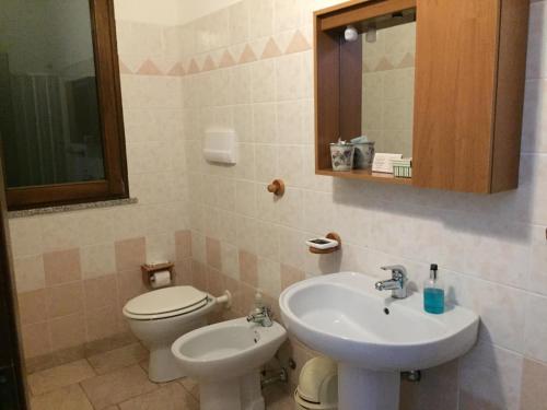 a bathroom with a sink and a toilet and a mirror at Agriturismo Pranu in Sorgono