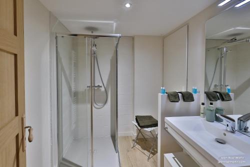 a bathroom with a shower and a sink at Le Domaine de Moroges in Moroges