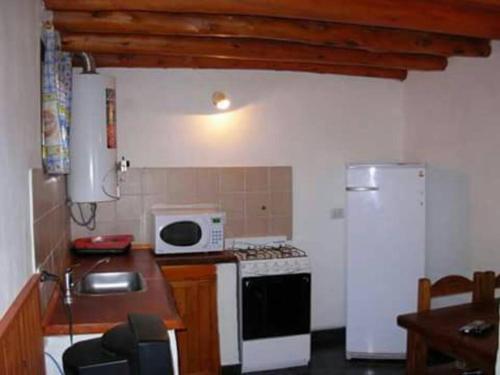 cocina pequeña con fogones y microondas en Excelente casa en alquiler en villa cura Brochero. en Villa Cura Brochero