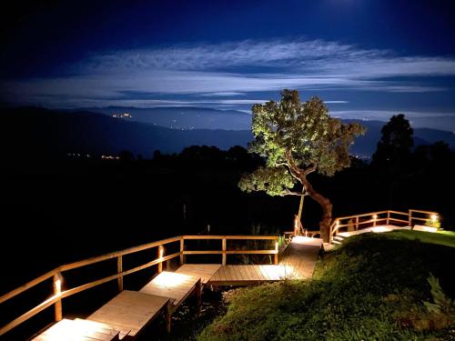 a tree sitting on top of a hill at night at Cerquido by NHôme in Cerquido