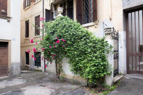 a bush with pink flowers on the side of a building at Residenza Principe Amedeo City Center free parking in Verona