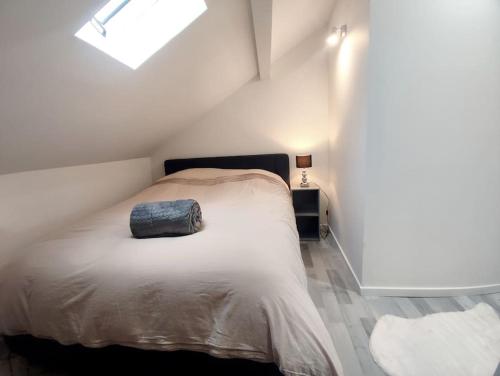 a bedroom with a bed with a pillow on it at Studio rue Leopold bourg in Épinal