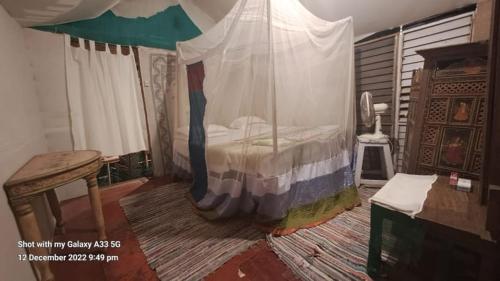 Cozy Nook Goa Palolem – Photos 3