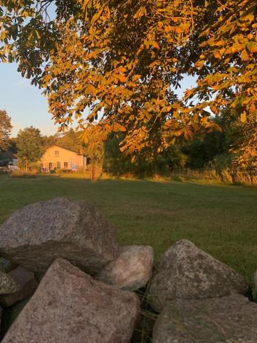 a pile of rocks in front of a tree at Landhaus „Blattgold“ in Lohme