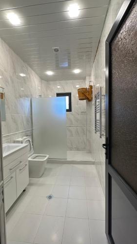 a white bathroom with a toilet and a sink at Harsnadzor Eco Resort in Halidzor