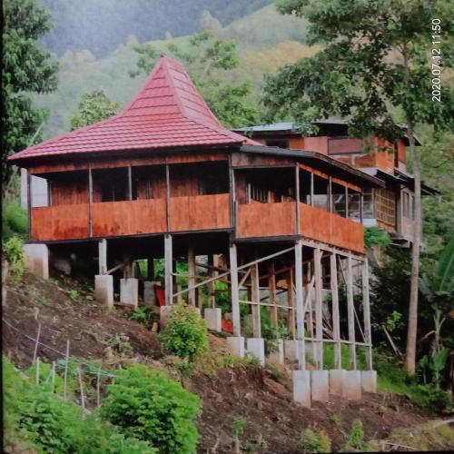 a house on the side of a hill at Home stay wolokoro ecotourism in Bajawa
