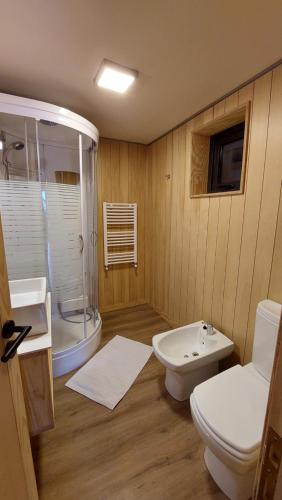 ein Badezimmer mit Toilette, Dusche und Waschbecken in der Unterkunft Departamento 2 ambientes, cálido y luminoso, con buena vista, en el centro de SMA. 14V5 in San Martín de los Andes