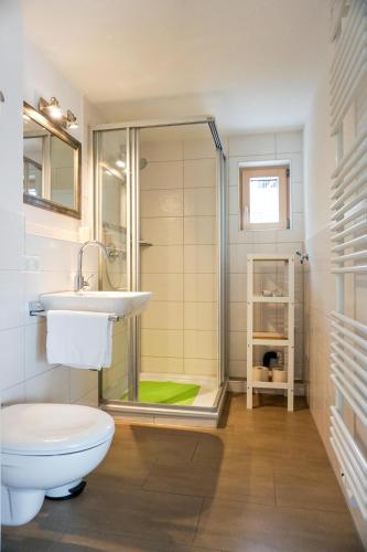 a bathroom with a shower and a toilet and a sink at Bergblick in Hopferau