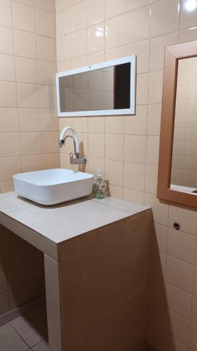 ein Bad mit einem Waschbecken und einem Spiegel in der Unterkunft ALOJAMIENTO FAMILIAR in Puerto Iguazú