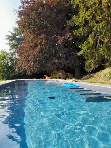 una gran piscina azul junto a una carretera en Cottage sotto il faggio centenario, en Ameno