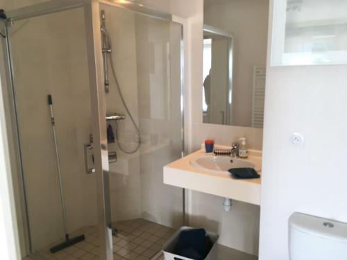 La salle de bains est pourvue d'une douche et d'un lavabo. dans l'établissement Grand studio Manosque face lycée international et hôpital, Cadarache-Iter, à Manosque