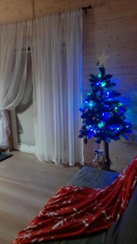 a christmas tree with blue lights in a room at Spiska Dolina in Łapsze Niżne