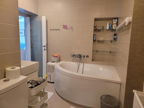 Ένα μπάνιο στο Apartma Modro gnezdo