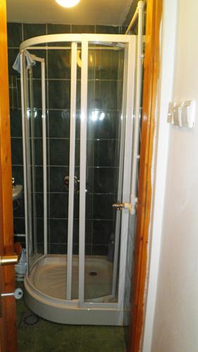 a shower with a glass door in a bathroom at GuestHouse Zabljak in Žabljak