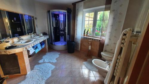 a bathroom with a shower and a sink and a toilet at Haus Krone in Teterow