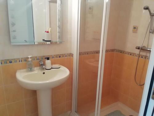 a bathroom with a sink and a shower at La maison au bord de l'eau in Plouigneau