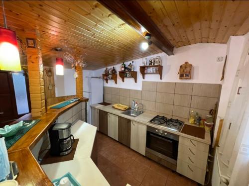 eine kleine Küche mit einer Spüle und einem Herd in der Unterkunft Cabana Tudor in Avrig