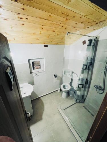 a bathroom with a toilet and a sink and a wooden ceiling at Cabana Tudor in Avrig