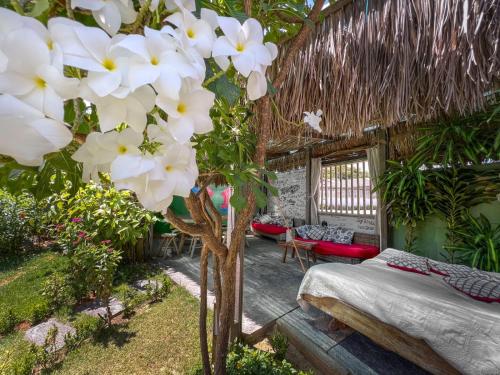 a room with a bed and a tree with white flowers at Xainã Pousada de Charme in Cumbuco