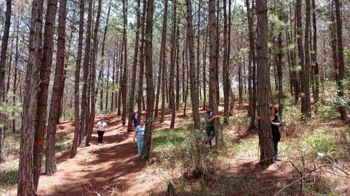 a group of people walking on a trail in the woods at Hotel Finca Buenos Aires Barichara in Barichara