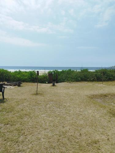 Kamala Surf & Backpacker Hostel – Photos 2