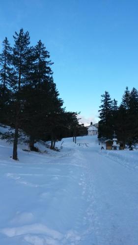 a snow covered field with trees and a building at Alpenappartements Schwalbennestl in Mittenwald