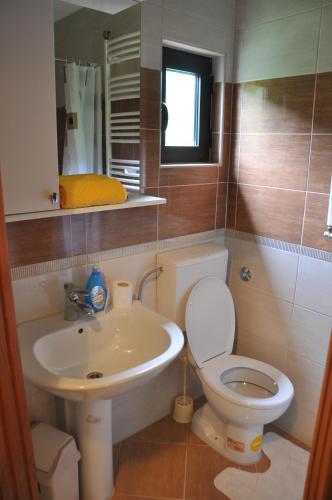 Koupelna v ubytování Guest House Majstorovic