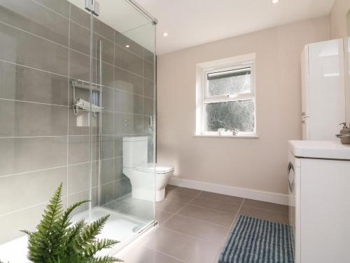 a bathroom with a shower with a toilet and a window at 4 Woodland Park in Bideford