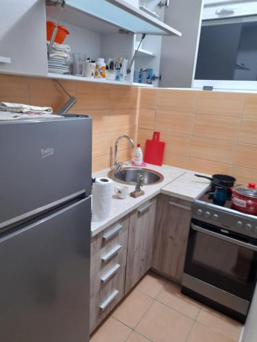 uma cozinha com um frigorífico de aço inoxidável e um lavatório em Apartment Luka em Podgorica