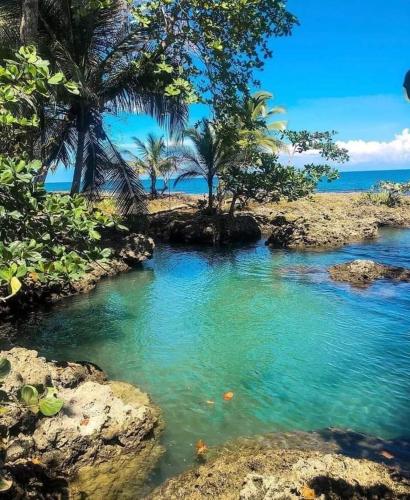 a pool of water with palm trees and the ocean at Hotel cahuita in Cahuita