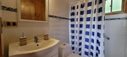 baño con lavabo y cortina de ducha en Cabañas Millalauquen, en Pucón
