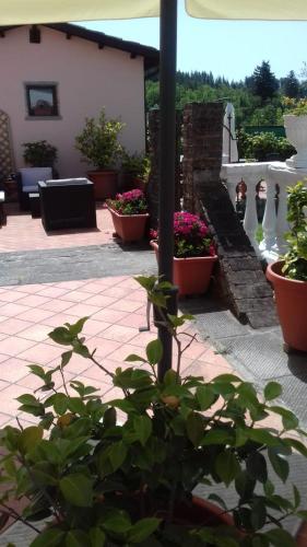 a patio with pots of flowers and a pole at Villa Belvedere in Pieve Fosciana