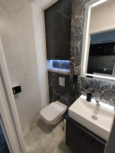 ein Badezimmer mit einem Waschbecken, einem WC und einem Spiegel in der Unterkunft Apartament Manhattan in Lyck