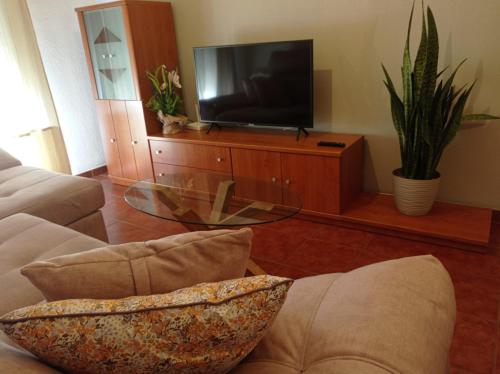 Televisor o centre d'entreteniment de MALAGA EXPERIENCE