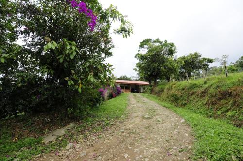 a dirt road leading to a building on a hill at Finca Queveri in Orosí