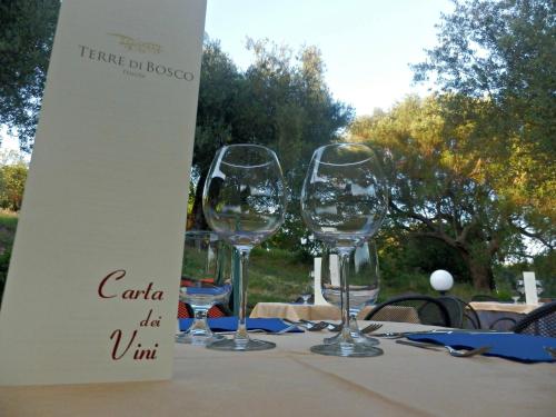 four wine glasses sitting on top of a table at Tenuta Terre di Bosco Oasi di Relax nel Cilento in San Giovanni a Piro