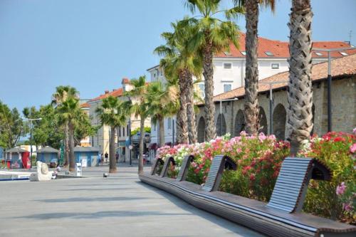 a street with palm trees and benches and flowers at Apartment Hanna in Koper