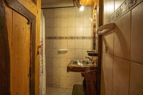 y baño pequeño con lavabo y ducha. en La celestina en San Rafael