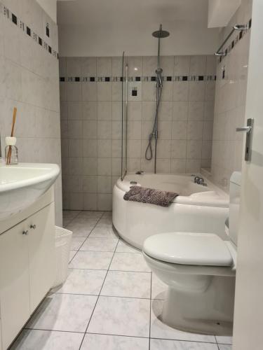 uma casa de banho com uma banheira, um WC e um lavatório. em Renovierte Ferienwohnung im Zentrum von Locarno em Locarno