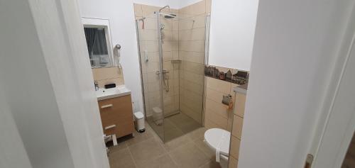 ein Badezimmer mit Dusche, Toilette und Waschbecken in der Unterkunft Yellow House in Sibiu