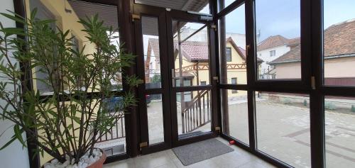 Uma vista da montanha tirada do apartamento 