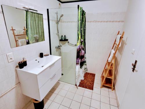 La salle de bains blanche est pourvue d'un lavabo et d'une douche. dans l'établissement Into the Wild - T2 Cosy tout confort, à Bouguenais