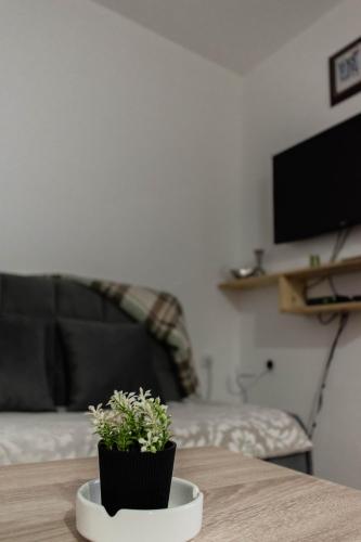 TV a/nebo společenská místnost v ubytování Vila MMBS
