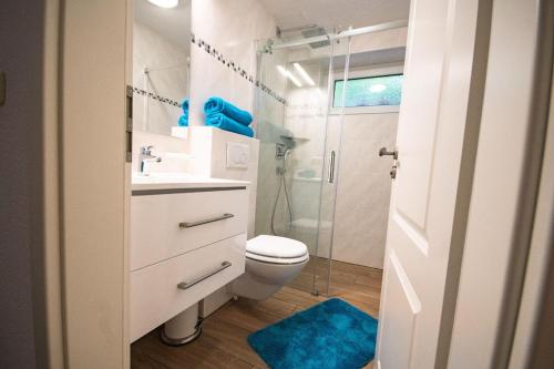 クックスハーフェンにあるStrandrobbe-2のバスルーム(トイレ、ガラス張りのシャワー付)