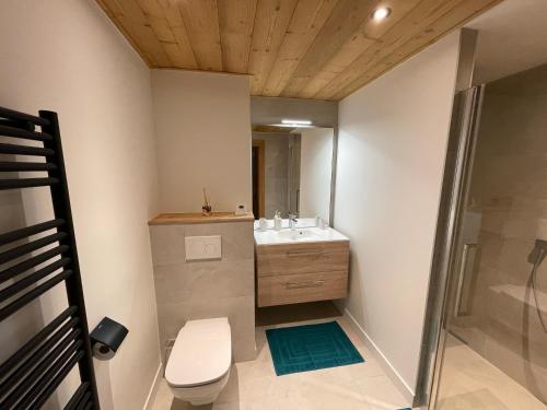 een badkamer met een toilet, een wastafel en een douche bij les Airelles 202 in Les Carroz d'Araches