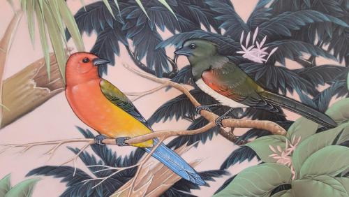 two birds sitting on a branch in the jungle at FAUNA Montevideo in Montevideo