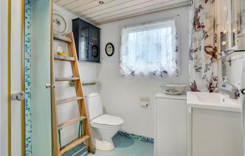 La salle de bains est pourvue de toilettes, d'un lavabo et d'une échelle. dans l'établissement 1 Bedroom Amazing Home In Karrebksminde, à Karrebæksminde