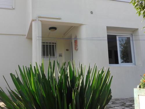 Photo de la galerie de l'établissement Appartement T2 avec Terrasse et BBQ, Proche Centre Arcachon et Plages - FR-1-319-85, à Arcachon