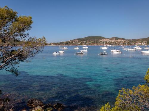 un groupe de bateaux dans une grande masse d'eau dans l'établissement Studio Climatisé - Plage à 50m - Central - WiFi Gratuit - FR-1-466A-39, à Saint-Raphaël
