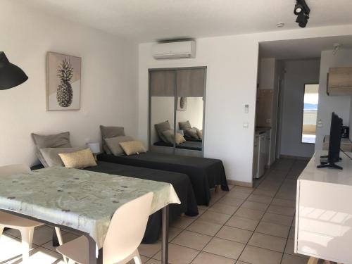Studio climatisé pour 2, proche plage et commerces, animaux admis, WiFi, parking - FR-1-466A-20